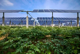 Agri-PV, Agrophotovoltaik Anlage