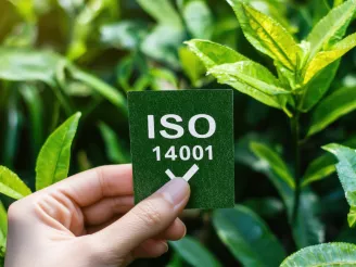 person holding iso 14001 label with foliage in background