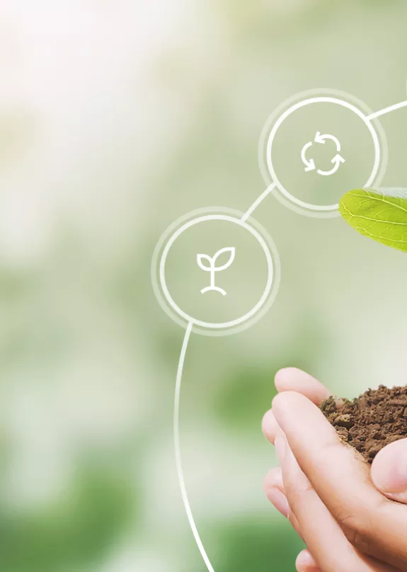 Hands holding a plant surrounded by icons reflecting sustainability